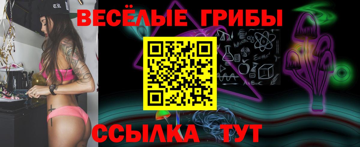 Дятьково  Галлюциногенные грибы GOLDEN TEACHER  Вход с VPN 